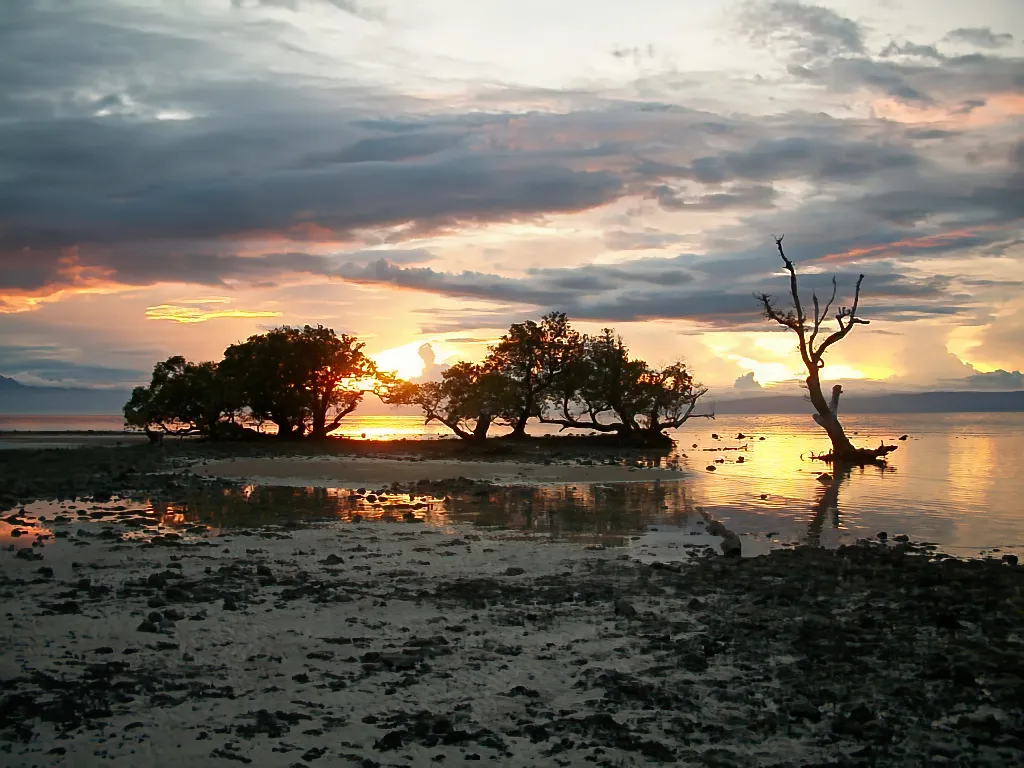 Sunset over a small mangrove on Siquijor Island at sunset with calm reflective water, dramatic clouds, and silhouetted trees at low tide.