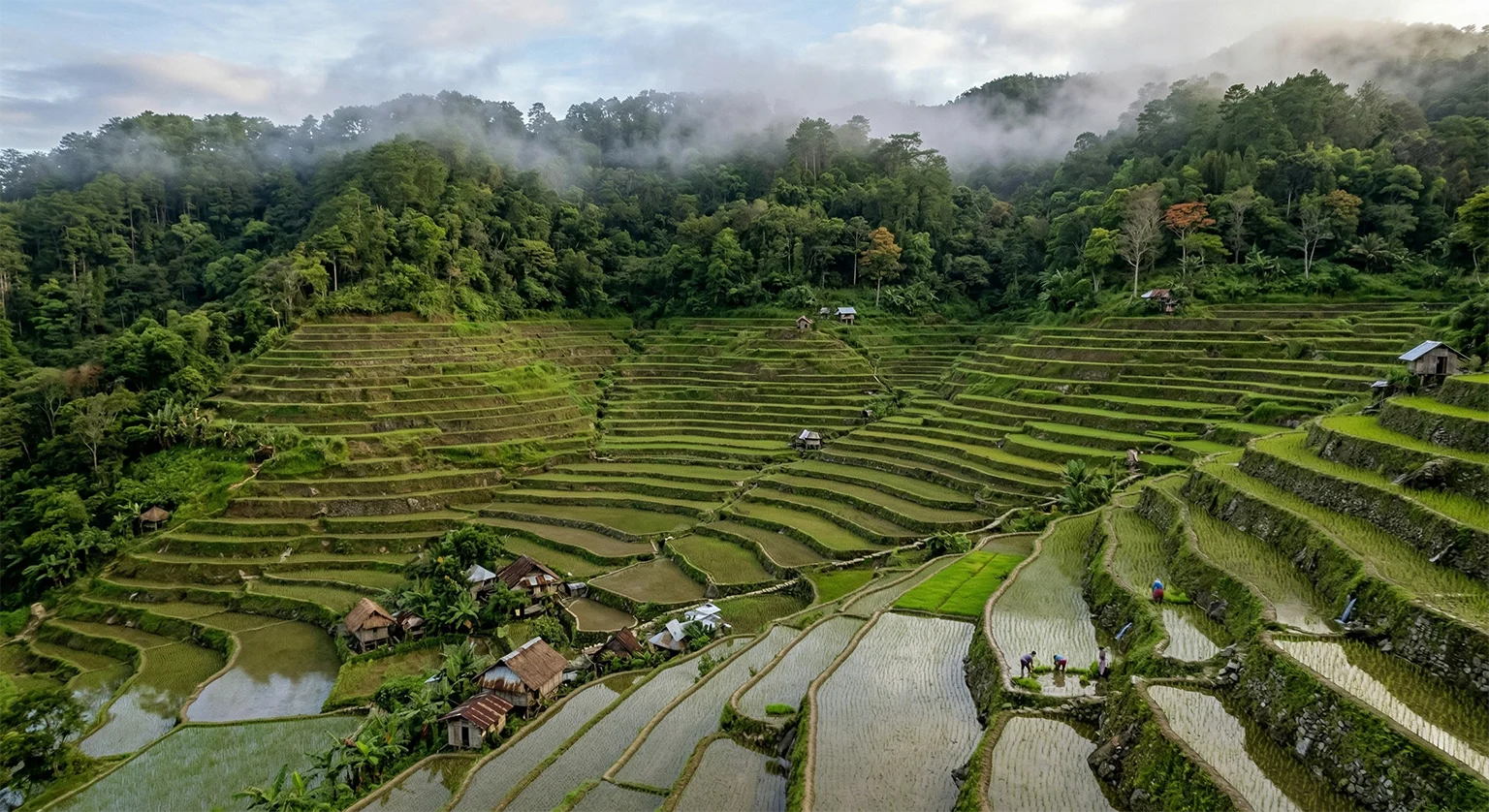 Ifugao rice terraces carved into the steep slopes of the Cordillera mountains, Banaue, Philippines